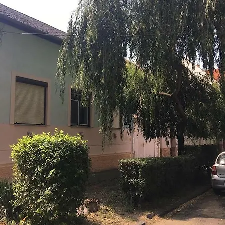 Stella * Debrecen